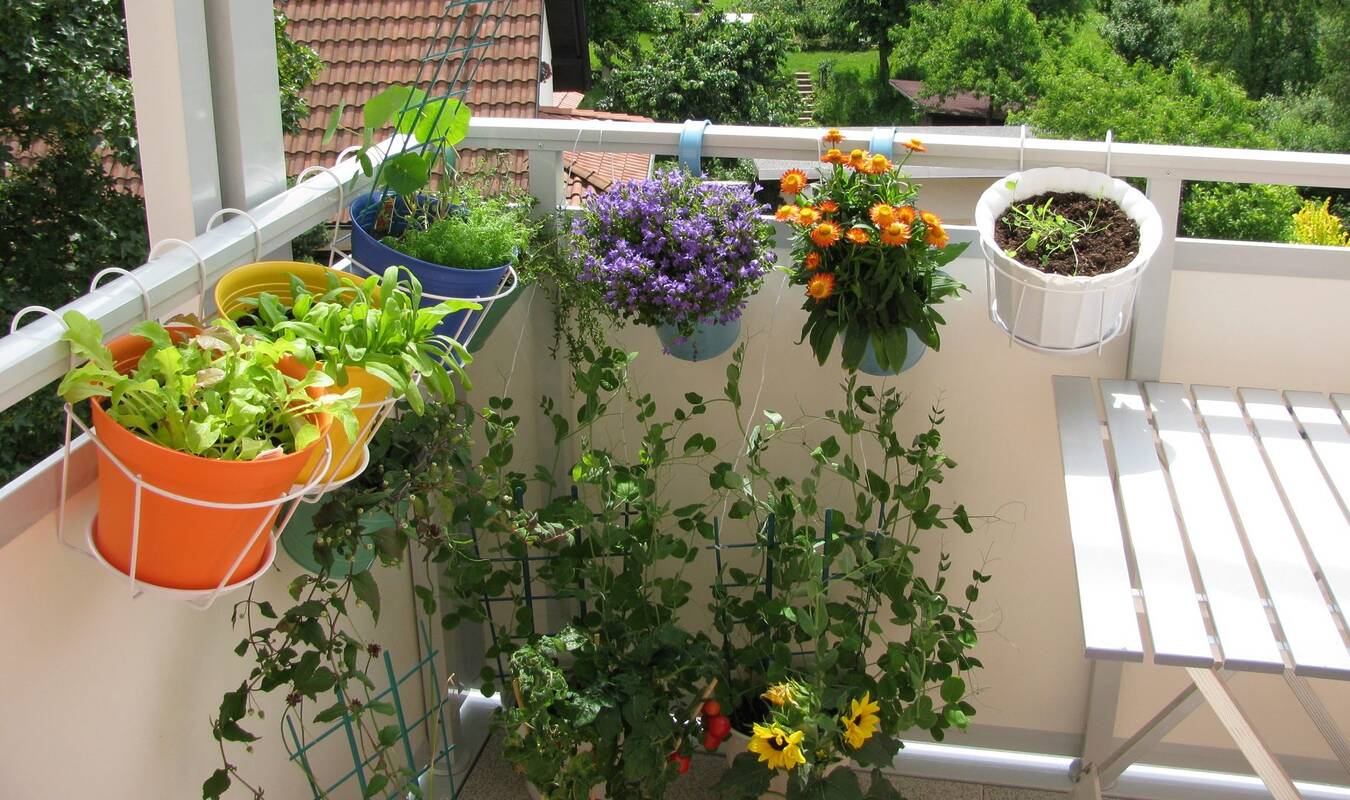 orto-sul-balcone-come-fare-4-e1396293477180