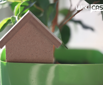 Mutui: ecco perché è un buon momento per comprar casa
