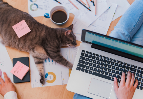 Smartworking, e se fosse per sempre? Un’analisi delle ripercussioni a livello immobiliare