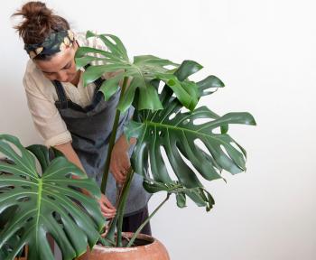 Casa con giardino: è boom di ricerche nel lockdown