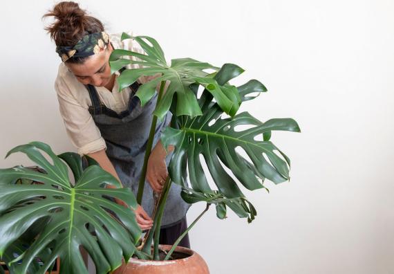 Casa con giardino: è boom di ricerche nel lockdown