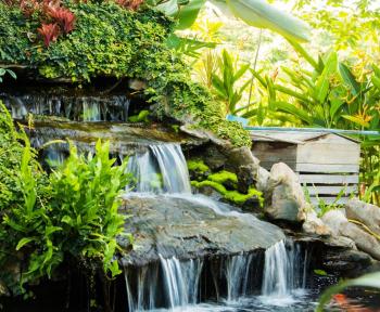 garden designer