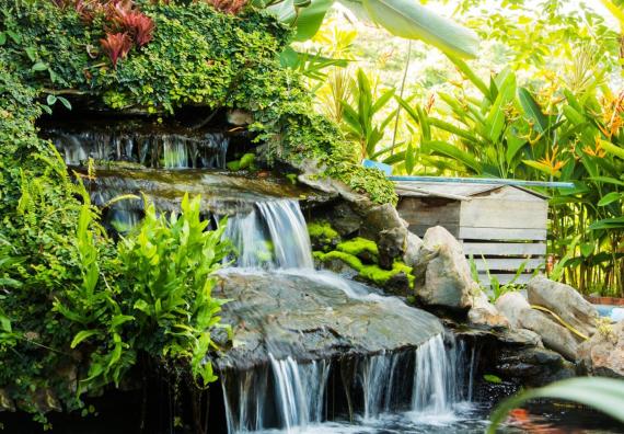 garden designer