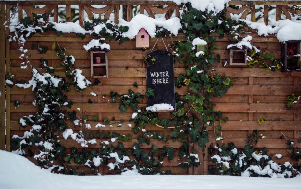 arredamento giardino d'inverno