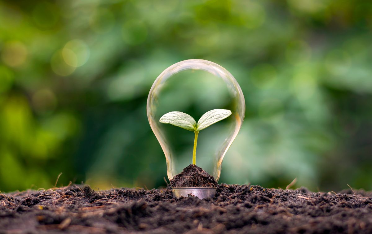 Certificazione LEED: cos'è e perché è sempre più ambita - Wikicasa News