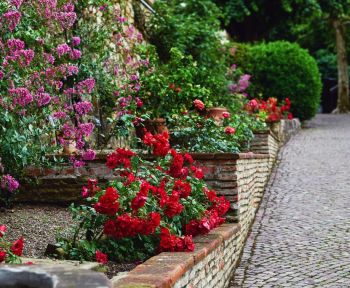 Giardino con Rose