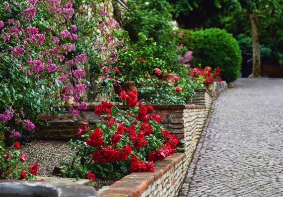 Giardino con Rose
