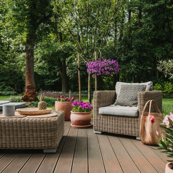 Non hai un giardino? Ecco come ricreare una serra in casa tua