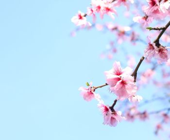 vacanze di pasqua