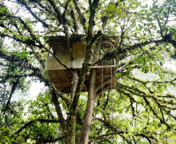 casa sull'albero