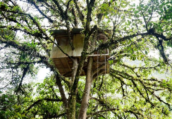 casa sull'albero