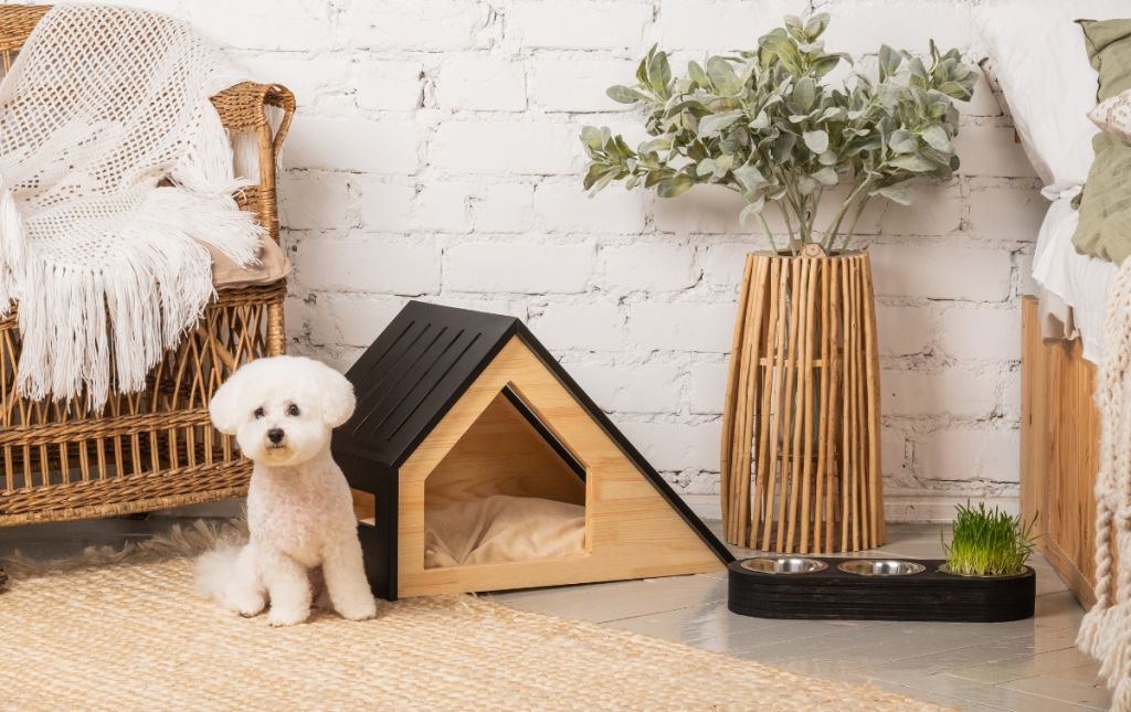 Animali domestici: quanto influiscono nella scelta di una nuova casa
